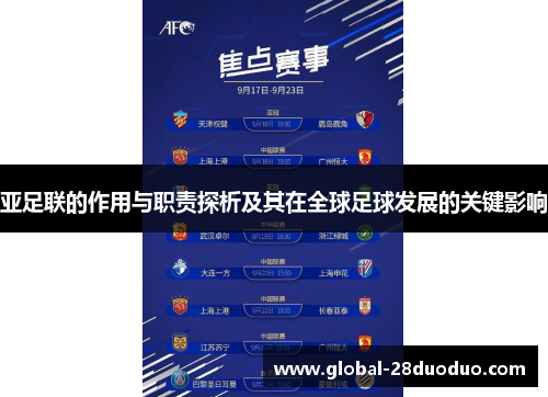 亚足联的作用与职责探析及其在全球足球发展的关键影响