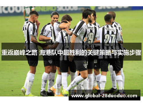 重返巅峰之路 海港队中超胜利的关键策略与实施步骤