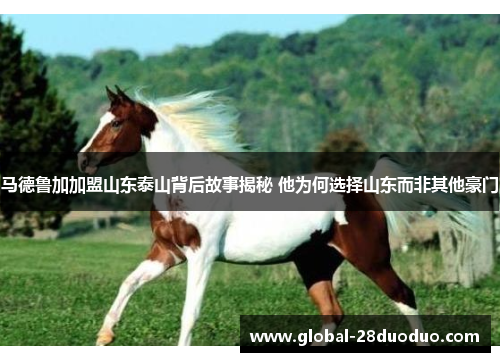 马德鲁加加盟山东泰山背后故事揭秘 他为何选择山东而非其他豪门