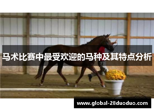 马术比赛中最受欢迎的马种及其特点分析