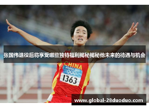 张国伟退役后将享受哪些独特福利揭秘揭秘他未来的待遇与机会
