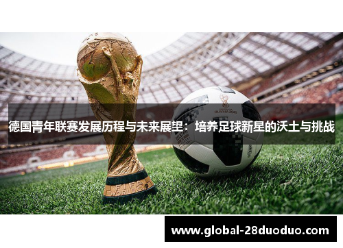 德国青年联赛发展历程与未来展望：培养足球新星的沃土与挑战