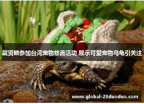 戴资颖参加台湾宠物慈善活动 展示可爱宠物乌龟引关注